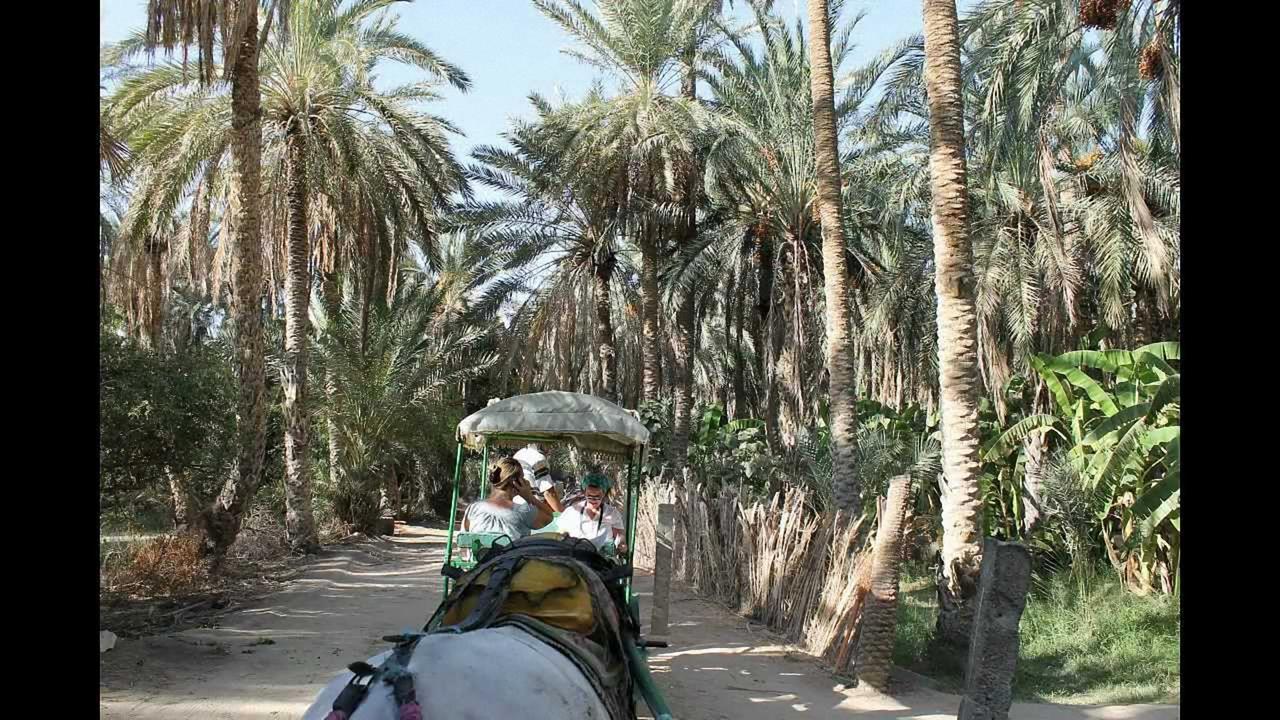 토져 Dar Ezzahra 빌라 외부 사진